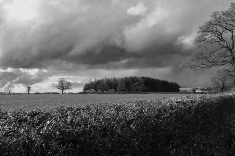 Black and white image of farmland with clouds, woodland and field