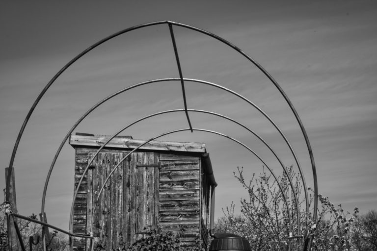 Allotment shed, Kirkbymoorside, North Yorkshire