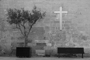 Cross, seat and olive tree, Spain