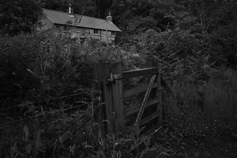 Garden gate by house in the trees, Lowna, North Yorkshire