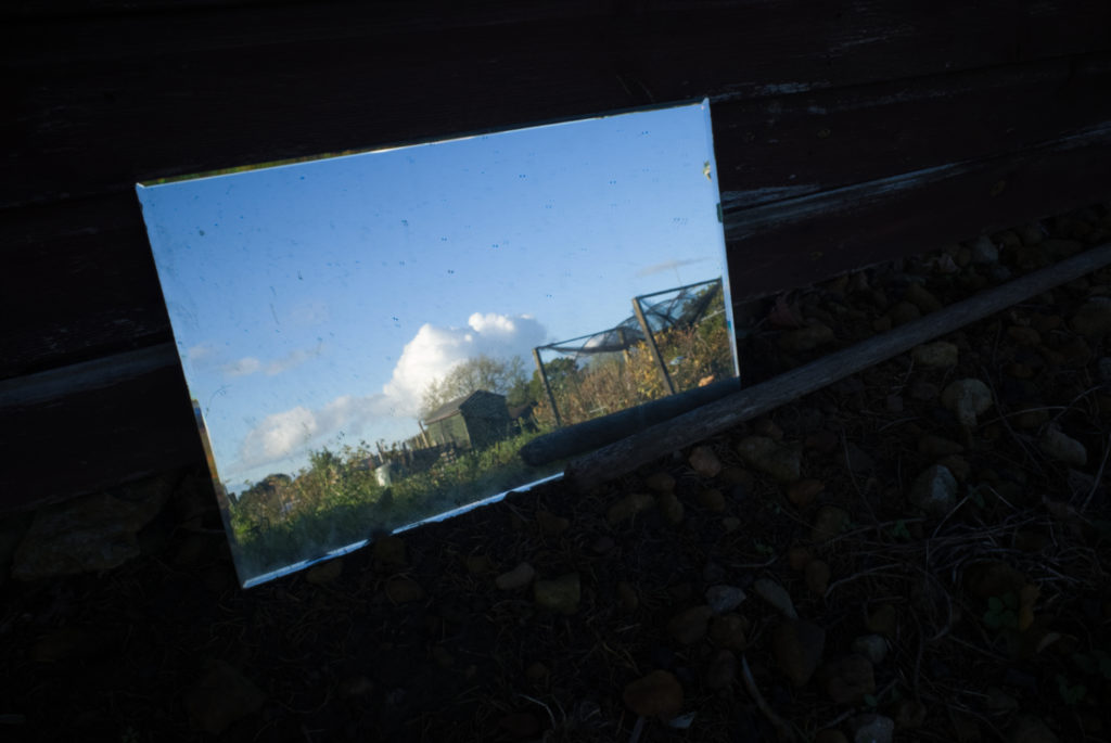 Mirror on allotment reflecting image