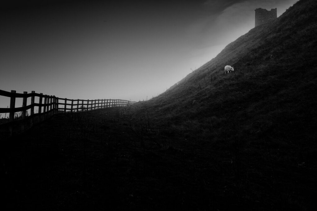 Rosedale, North Yorkshire, moorland with single sheep