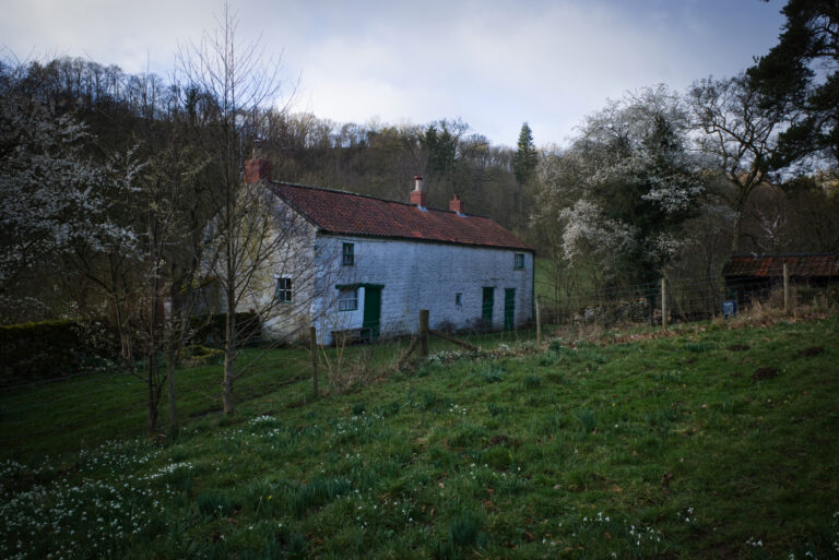 Nutholme Cottage, Sinnington, North Yorkshire