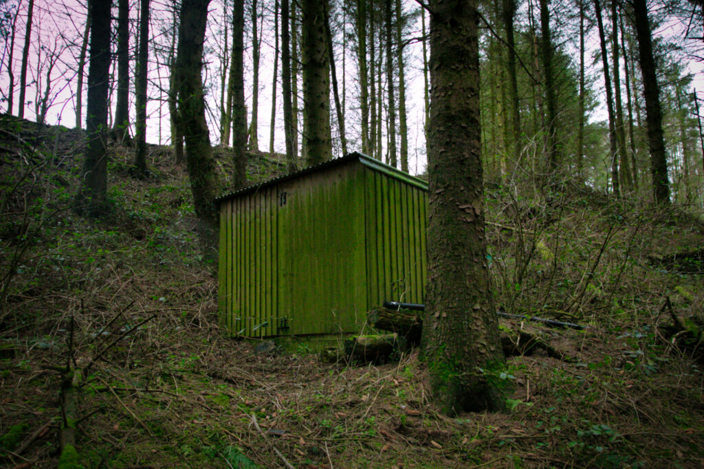 Green shed in woodland - Rosedale