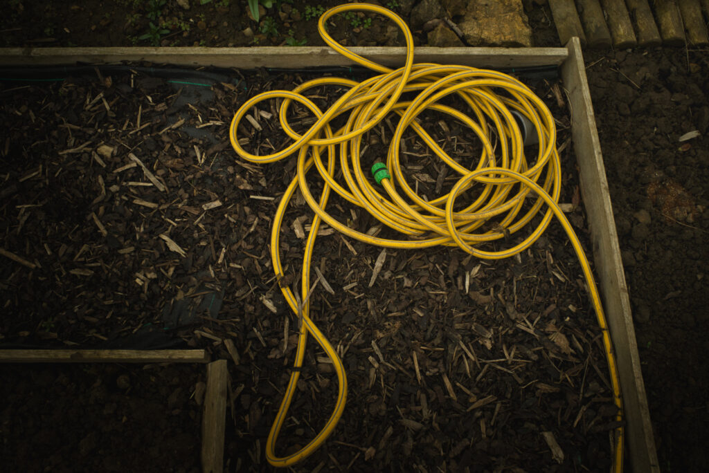 Yellow water hose on the allotment
