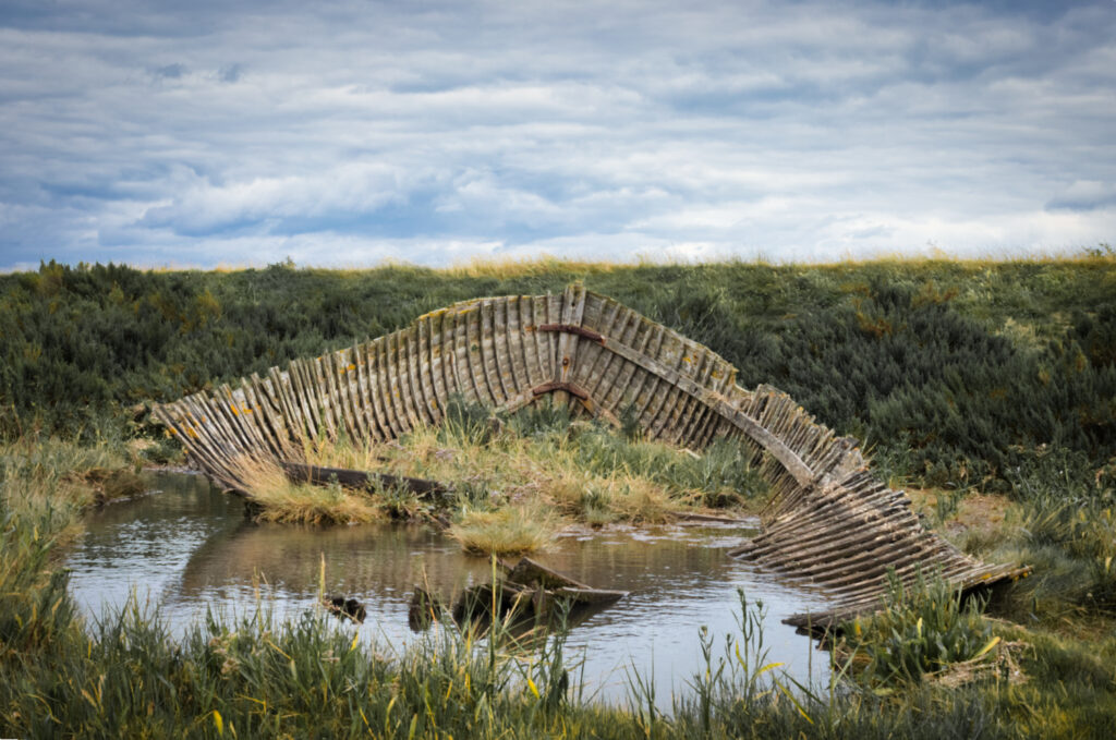 Blakeney boat skeleton