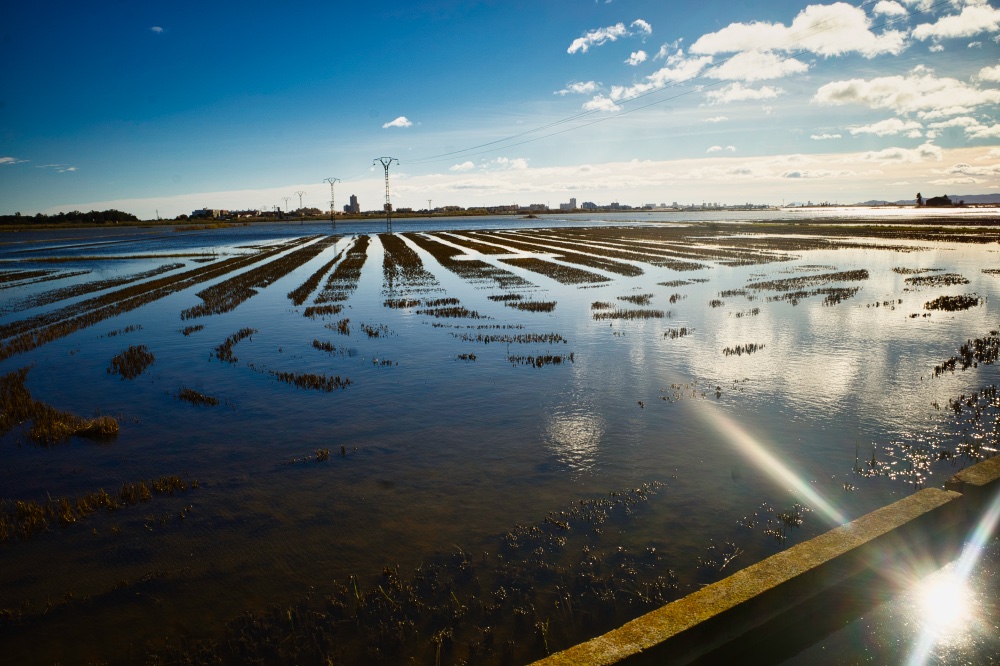Albufera, Spain