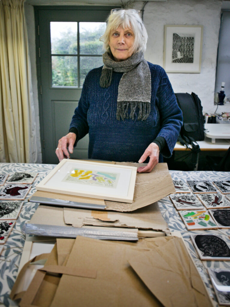 Sally Parkin artist